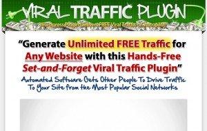 Brett Ingram - Viral Traffic Plugin