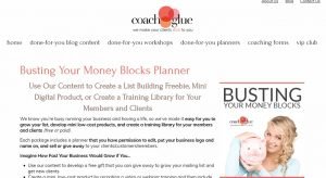 Busting Your Money Blocks Planner